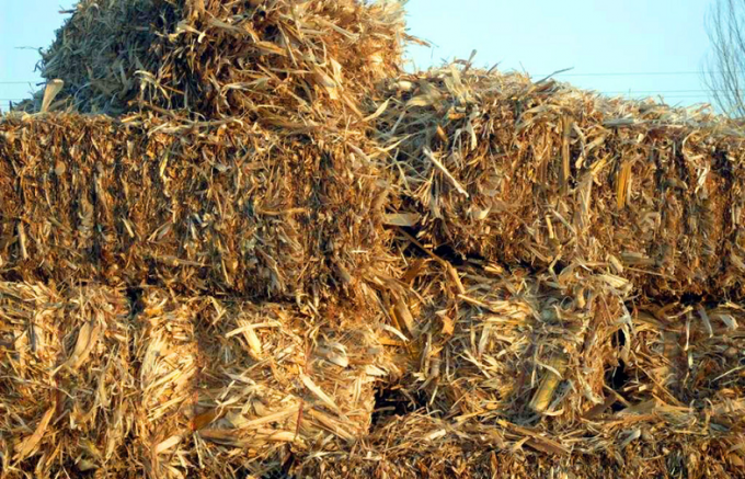 Солома пшеницы/черенок/альфальфа мозоли емкость производственной линии 500КГ/Х лепешки сена деревянная